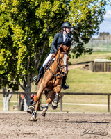 W/SJ - Ring 2 - Class 32 - 1.20m Junior