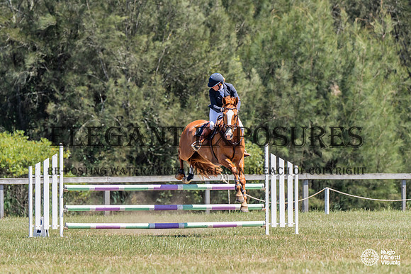 HM_6638