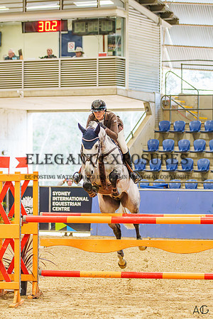 _AJG2013-Enhanced-NR