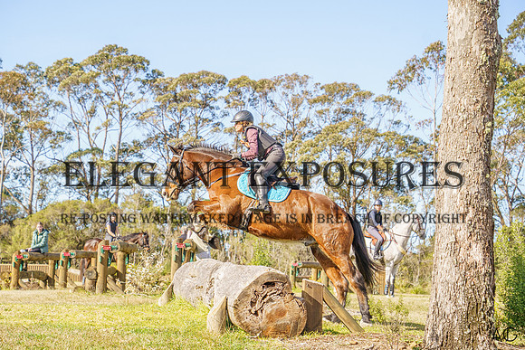 _AJG8244