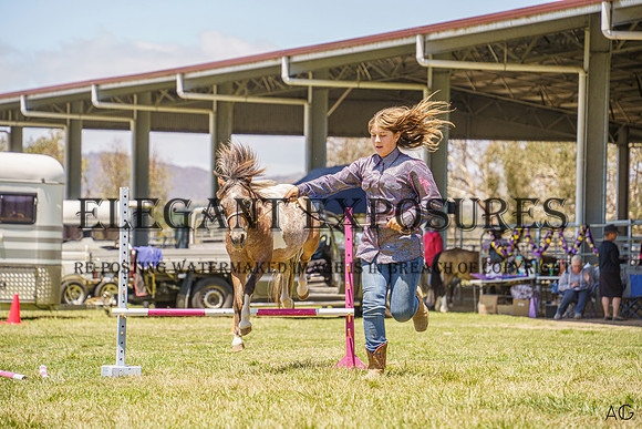 _AJG4516