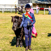 The Shetland Pony Society - Autumn Show Luddenham 28.04.2024