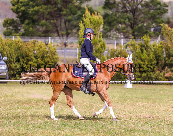 KMS-2912