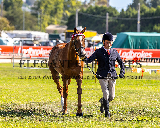 MAS_0188