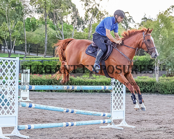 LHL(MS)-0452