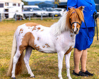 MAS_0623