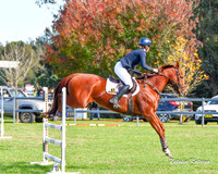 NYK(MG)-1233