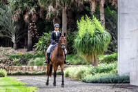 WP - CCN2* Dressage - 29.01.2022