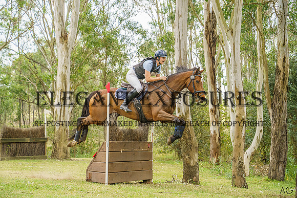 _AJG8240