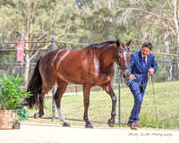MAS_0023