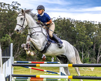 BRC - SJ Champs - Ring 1 - 1.00m 03.11.2024