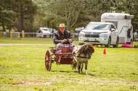 AMHS Southern Summer Harness 18.01.2025