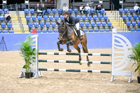 OLS_2231