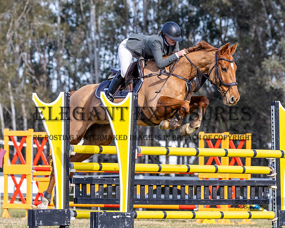 MASX1516