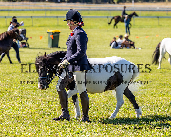 MAS_2774