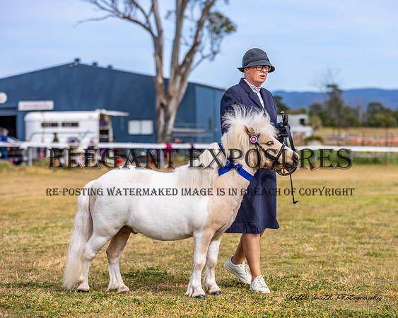 MAS_0666