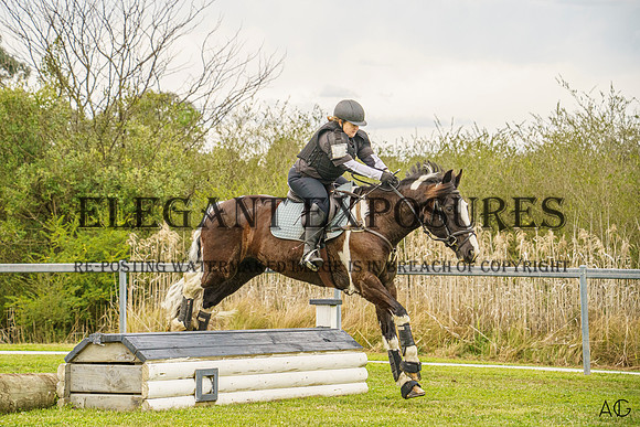 _AJG3856