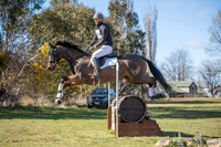OLS_8137