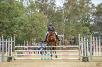 _AJG2521