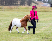 APSB - Goulburn - Ring 5 - 26.01.2025
