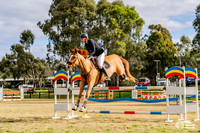 HM_9903