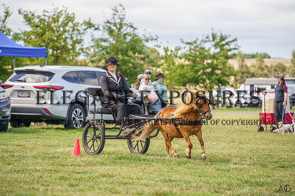 _AJG0312