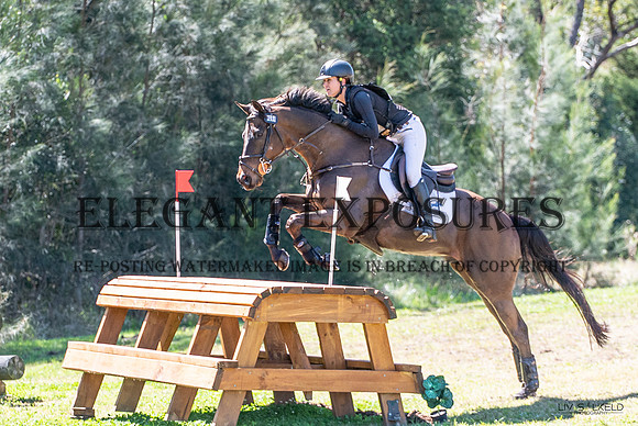 OLS_1538