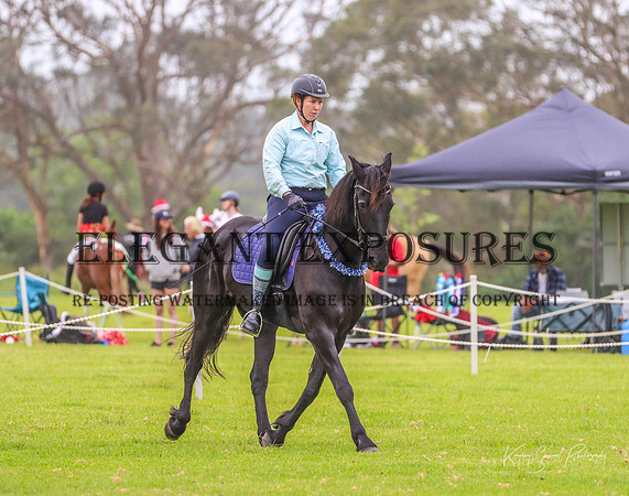 KMS-2352