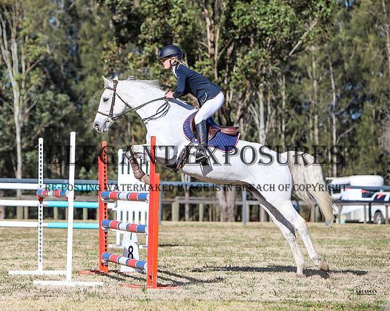 ZJD-3373