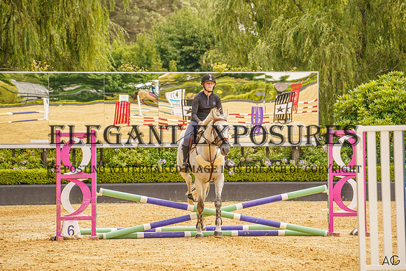 _AJG2016
