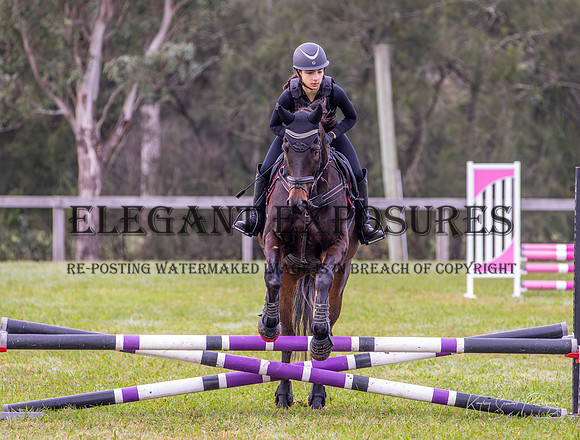 KMS-46