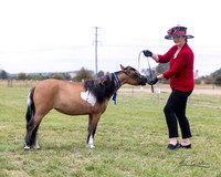 MKG_9718