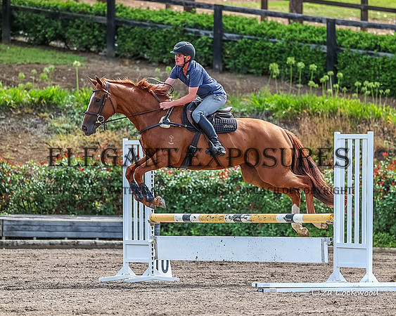LHL(MS)-9883