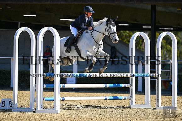 RII_1307-Stacey Warden-WPSJ - Fri - Ring 2  - 1.00m junior /adult- 13.09.2024