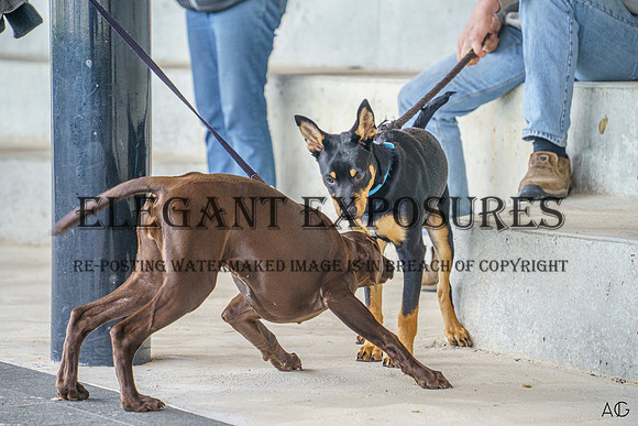 _AJG6376