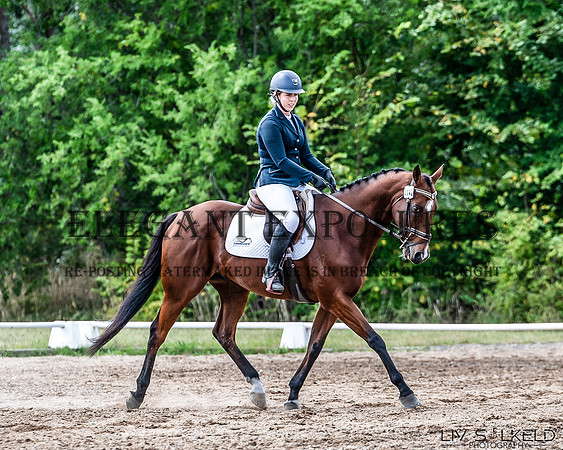 OLS_0469