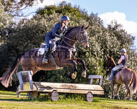 MAS_4550