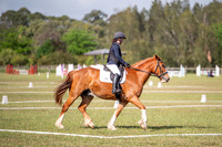 OLS_1193