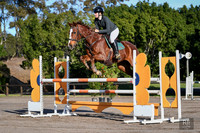 W/SJ - Ring 2 - Sunday - Class 33a,b & 34 - 1.05m - 17.08.2025