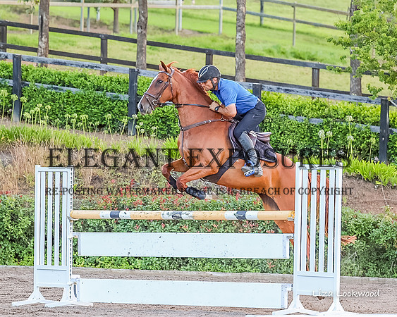 LHL(MS)-0453