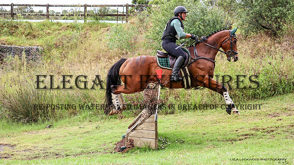 LHL(OS)-0838
