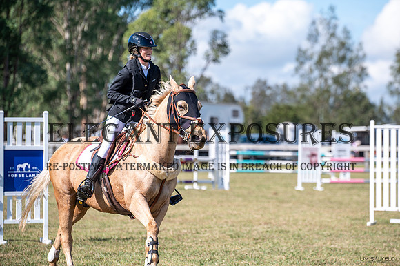 OLS_7838