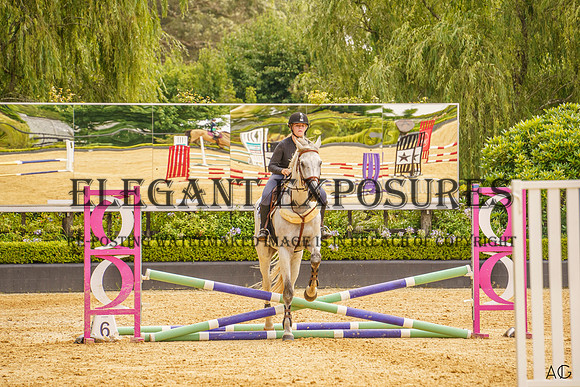 _AJG2015