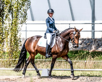 OLS_0303