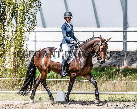 OLS_0303