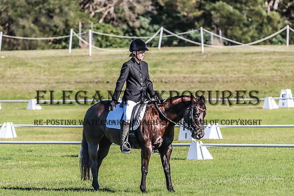 KMS-41