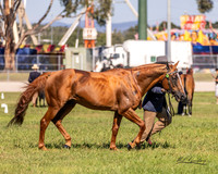MKG_8457