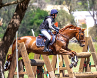 Equestriad - XC - CCN3* - 10.11.2024