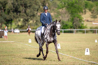 OLS_1198