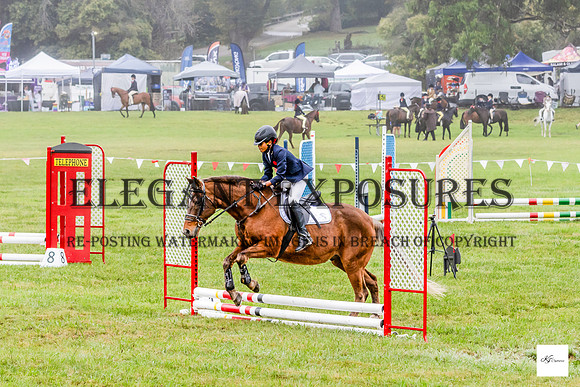 KAT-9703